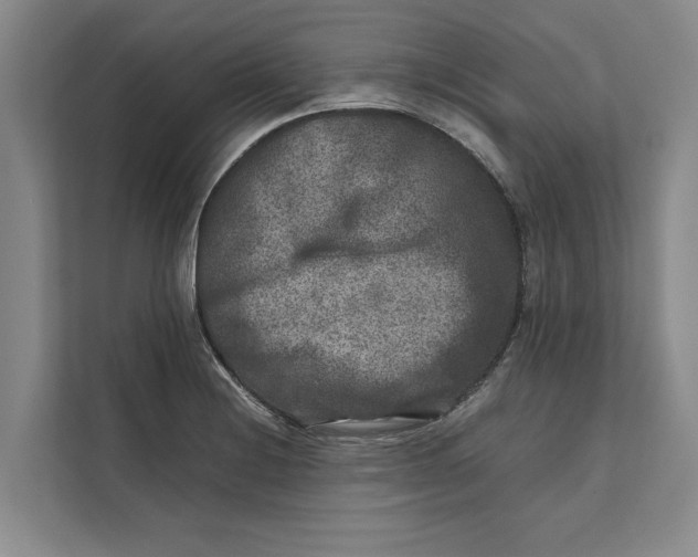 X0000111841228200908131412