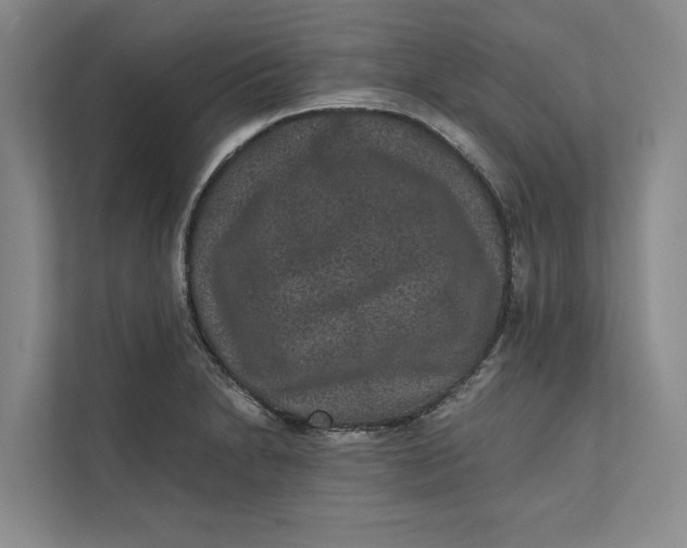 X0000111841230200908131412