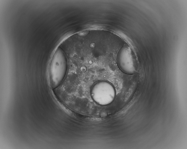 X0000111841235200908131412