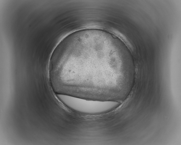 X0000111841236200908131412