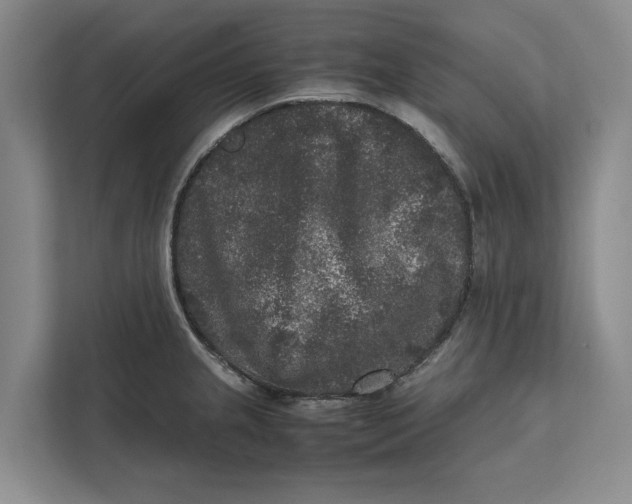 X0000111841237200908131412