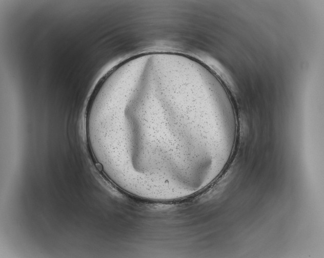 X0000111841238200908131412