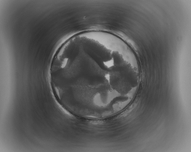 X0000111841239200908131412