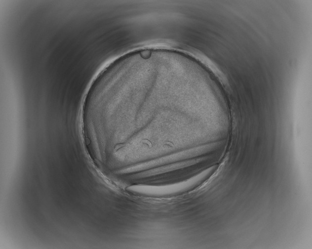 X0000111841240200908131412