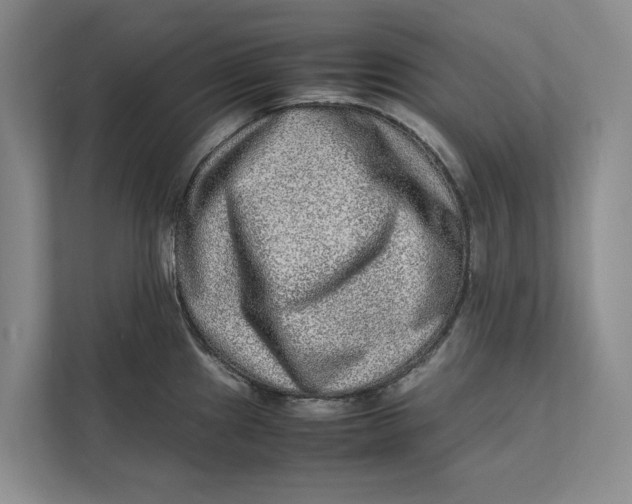 X0000111841241200908131412