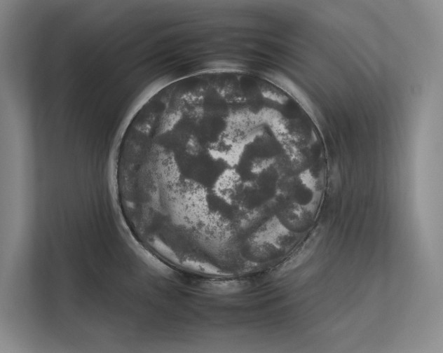 X0000111841243200908131412