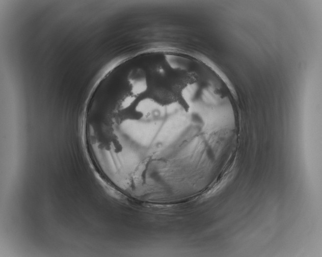 X0000111841245200908131412