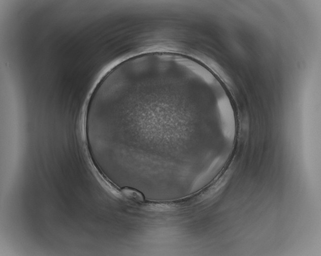 X0000111841246200908131412