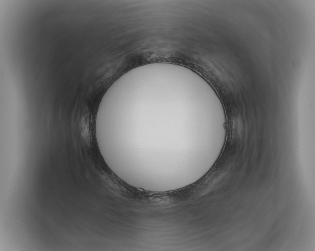 X0000111841250200908131411