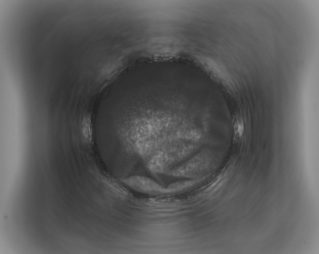 X0000111841252200908131411