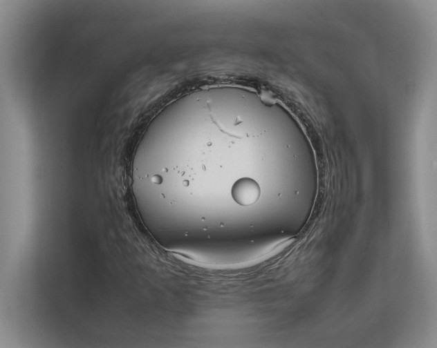 X0000111841253200908131411