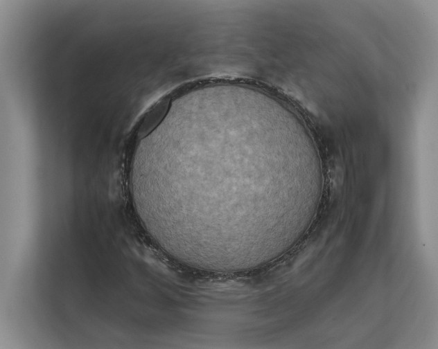 X0000111841256200908131411