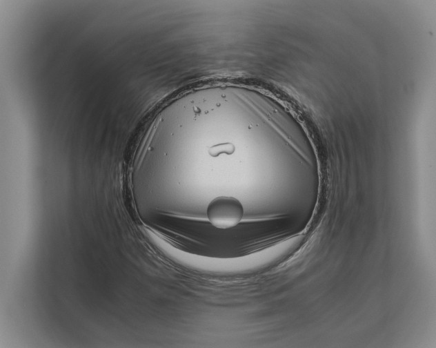 X0000111841257200908131411