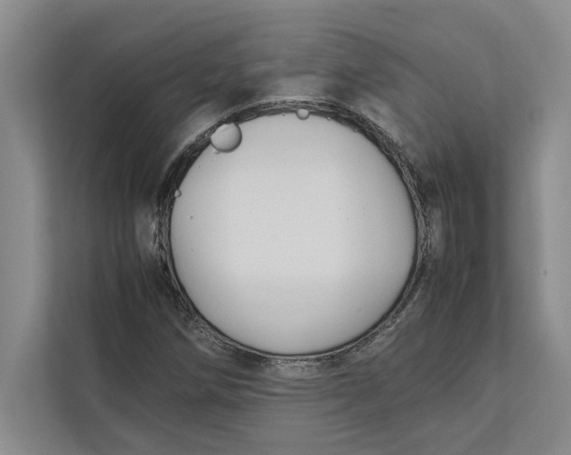 X0000111841258200908131411