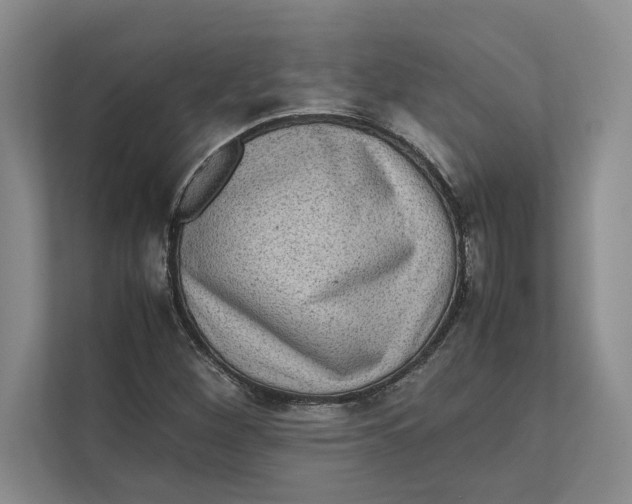 X0000111841260200908131411