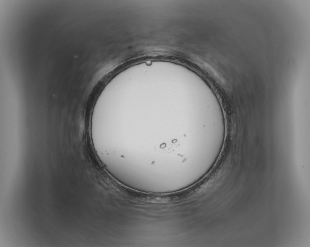 X0000111841261200908131411