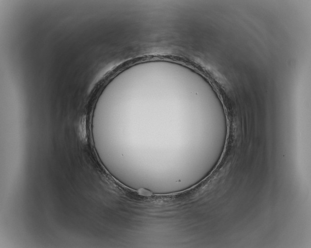 X0000111841262200908131411