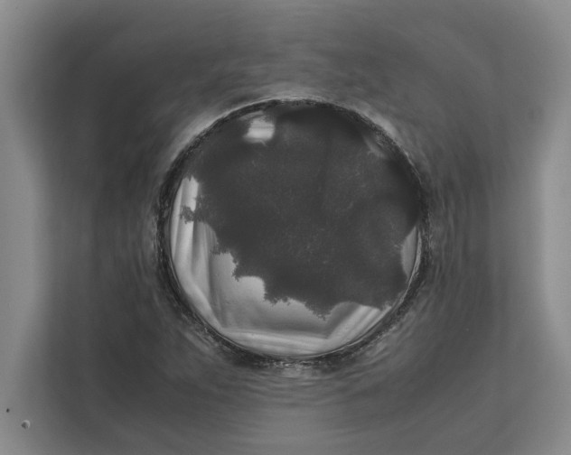 X0000111841263200908131411