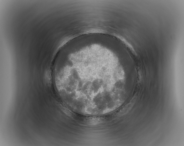 X0000111841266200908131411