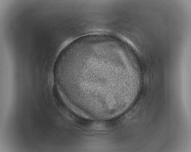 X0000111841267200908131411