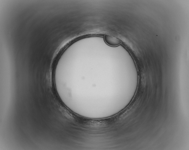 X0000111841270200908131411