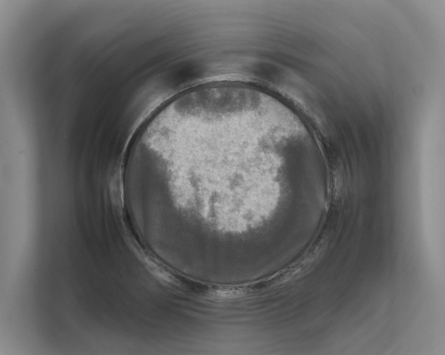 X0000111841274200908131411