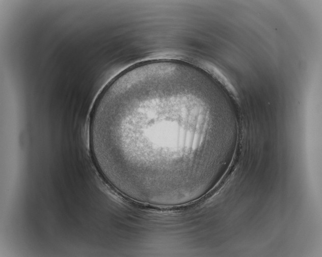 X0000111841276200908131411