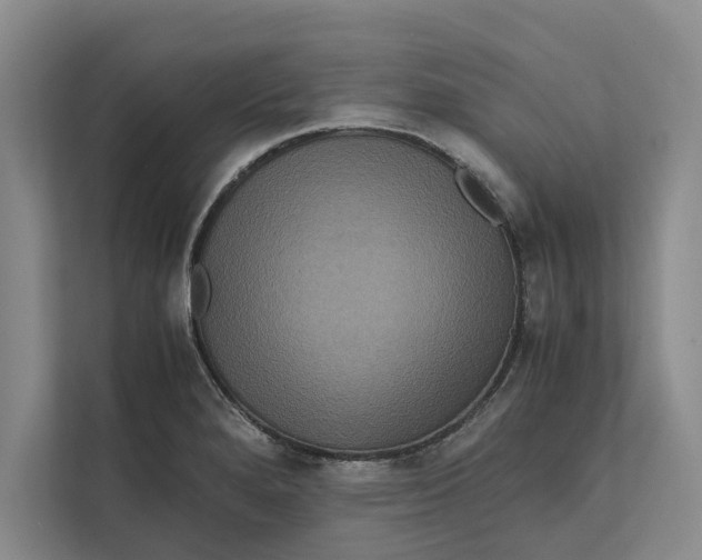 X0000111841280200908131411