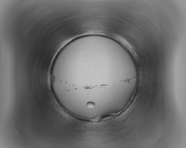 X0000111841284200908131411