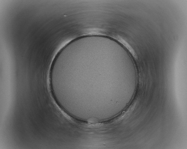 X0000111841285200908131411