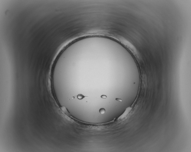 X0000111841288200908131411