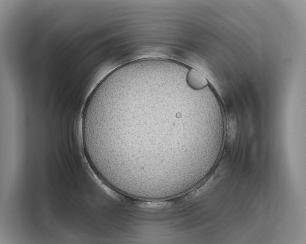 X0000111841290200908131411