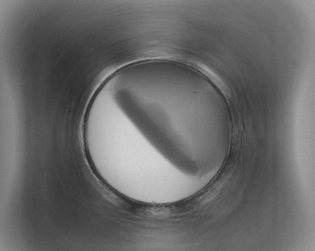 X0000111841291200908131411