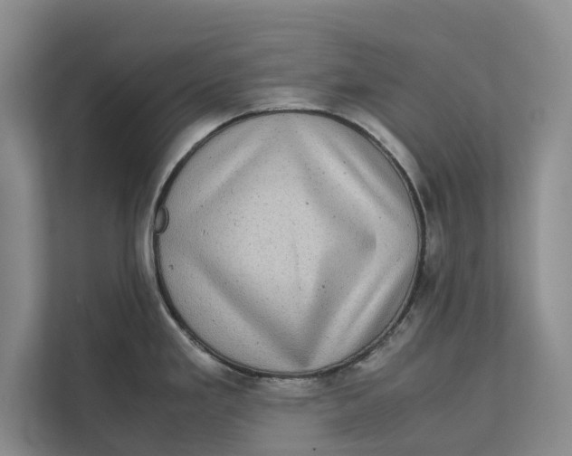 X0000111841293200908131411