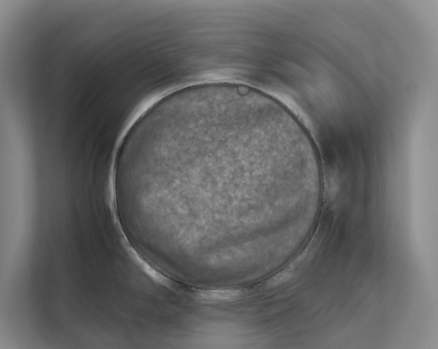 X0000111841294200908131411