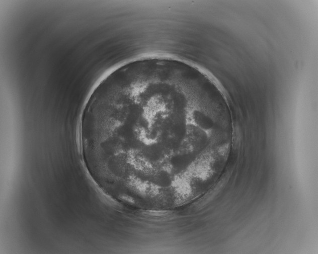 X0000111841295200908131411