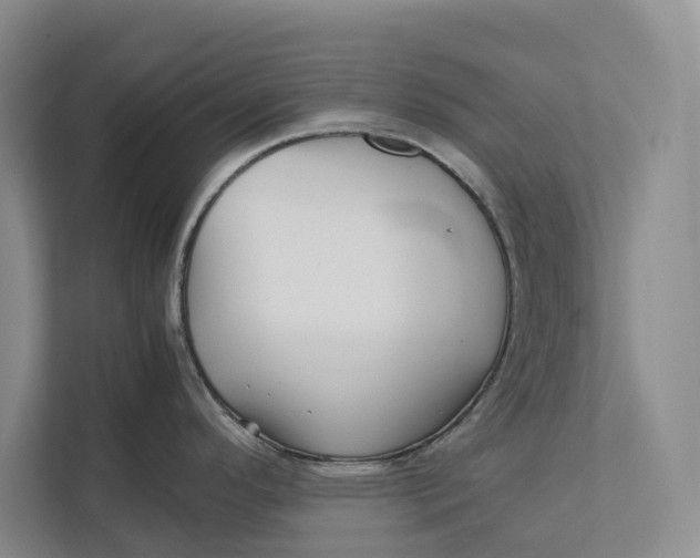 X0000111841296200908131411