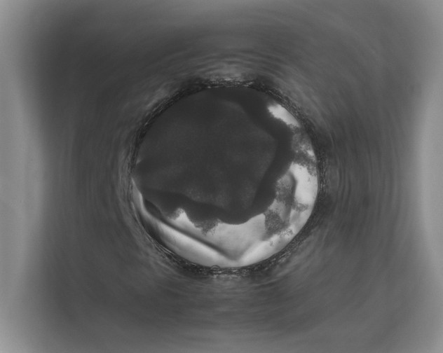 X0000111841297200908131410