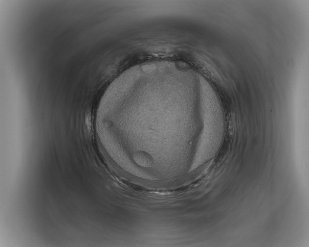 X0000111841298200908131410