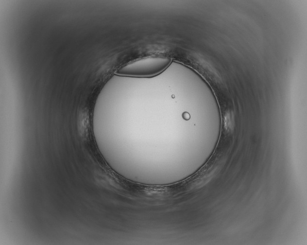 X0000111841299200908131410