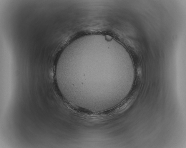 X0000111841300200908131410