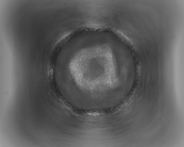 X0000111841302200908131410