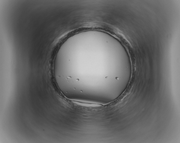 X0000111841304200908131410