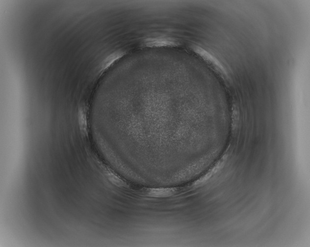 X0000111841305200908131410