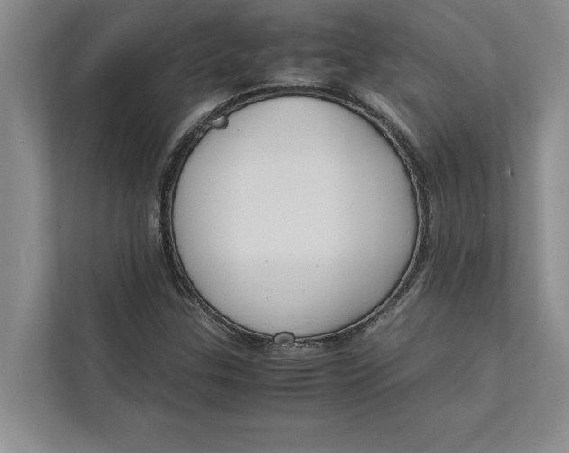 X0000111841307200908131410