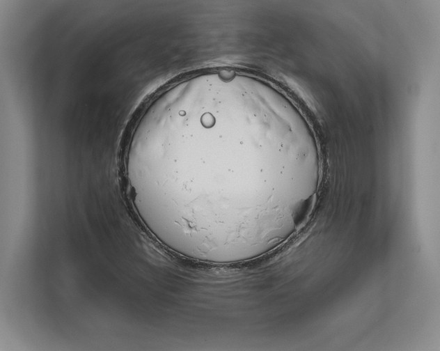 X0000111841308200908131410