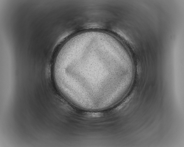 X0000111841309200908131410