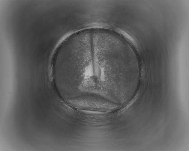 X0000111841310200908131410