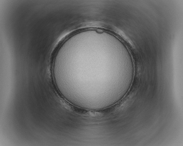 X0000111841312200908131410