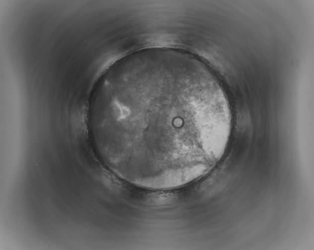 X0000111841314200908131410